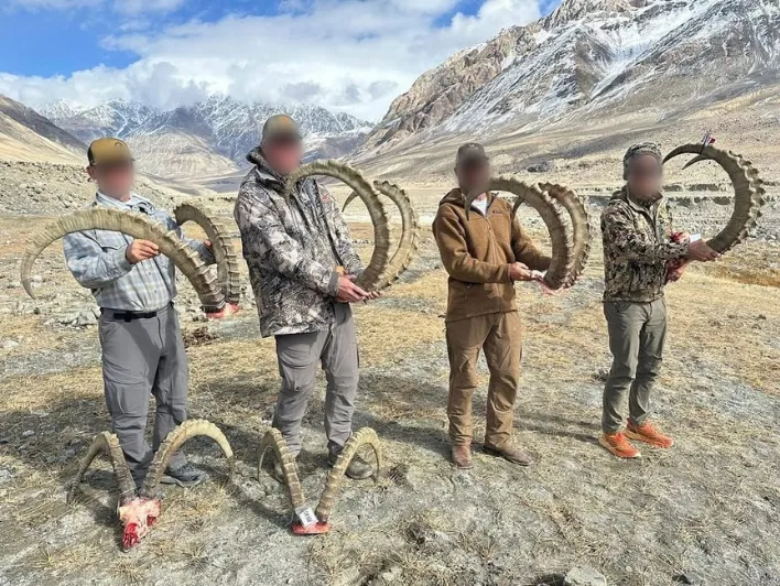 Hunting ibex in Tajikistan