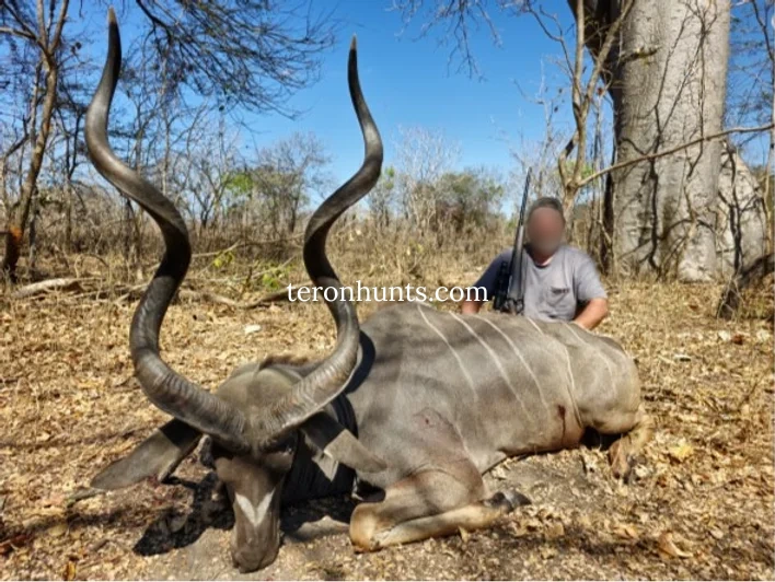 Hunter taking picture with his hunted kudu in Mozambique, example of successful client of Teron who went kudu hunting in Mozambique