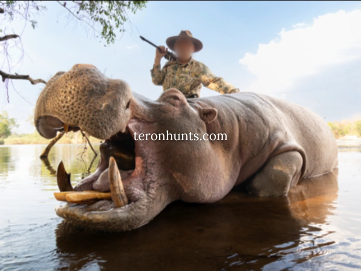Hunter taking picture with his hunted hippotalamus in Mozambique, example of successful client of Teron who went hippotalamus hunting in Mozambique