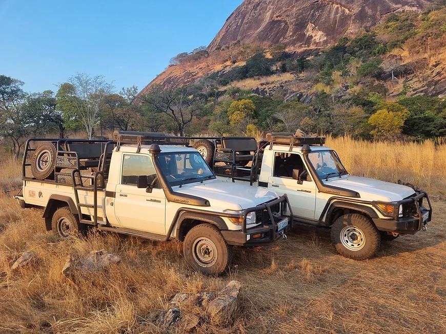 Car transportation while hunting in Mozambique