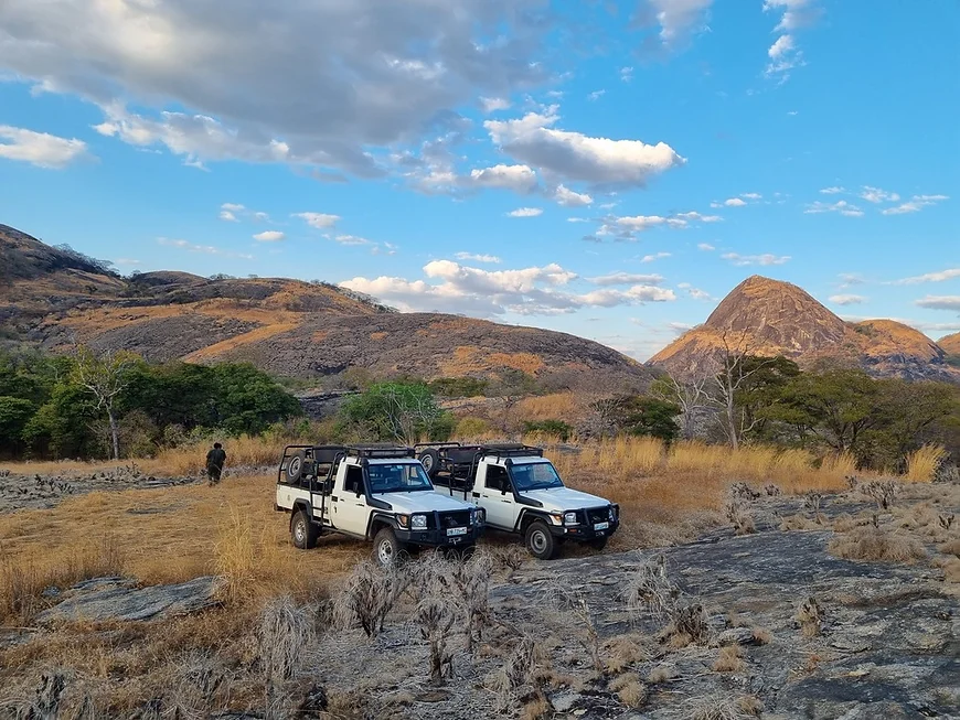 Car transportation while hunting in Mozambique