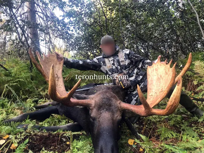Hunter taking picture with his hunted moose in Alaska USA, example of successful client of Teron who went moose hunting in Alaska USA