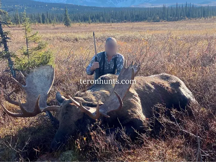 Hunter taking picture with his hunted moose in Alaska USA, example of successful client of Teron who went moose hunting in Alaska USA