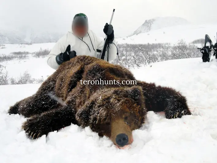Hunter taking picture with his hunted brown bear/grizzly in Alaska USA, example of successful client of Teron who went brown bear/grizzly hunting in Alaska USA