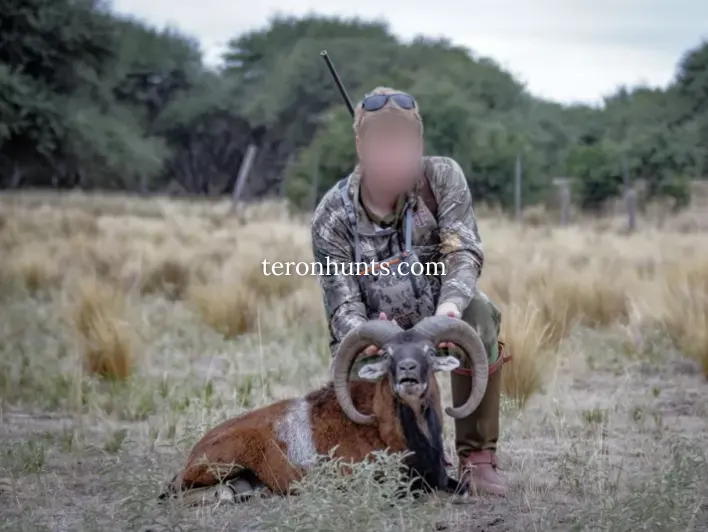 Hunter taking picture with his hunted mouflon in Argentina, example of successful client of Teron who went mouflon hunting in Argentina