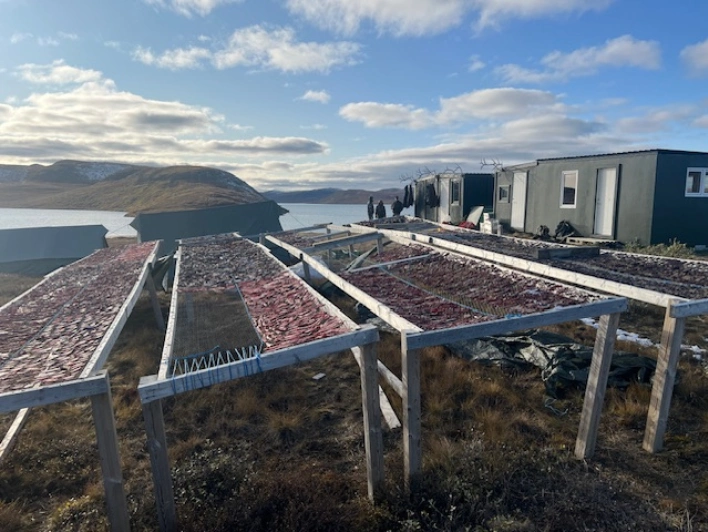 One of few camps/accommodations where you can rest while hunting in Greenland