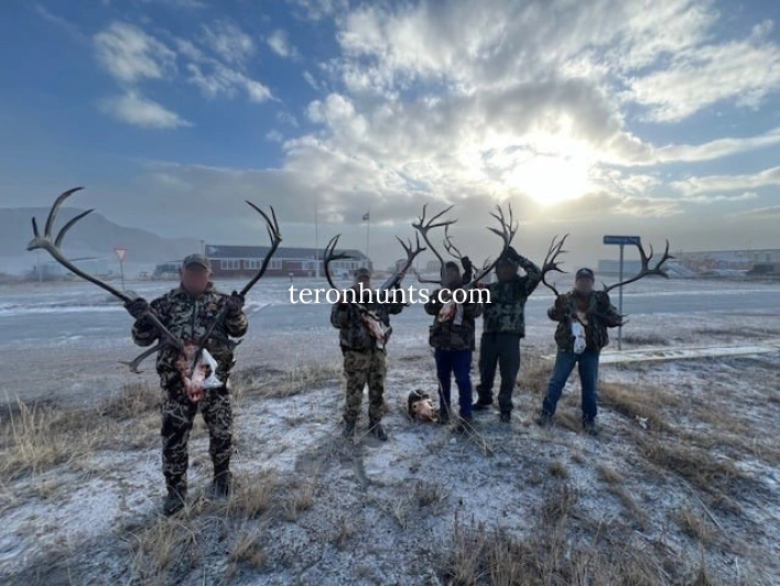 Hunter taking picture with his hunted caribou in Greenland, example of successful client of Teron who went caribou hunting in Greenland